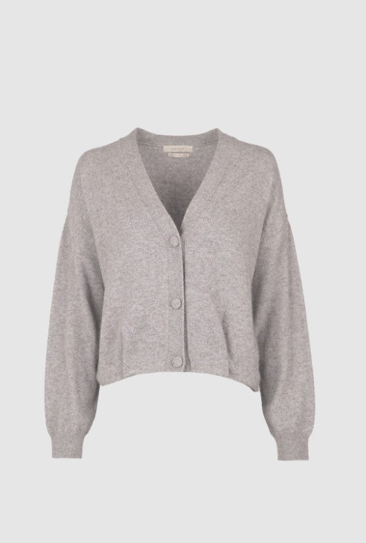 Cardigan Assane | Lichtgrijs