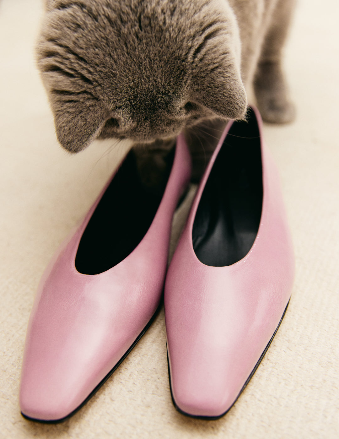 Ballerina's Bilbao | Lila