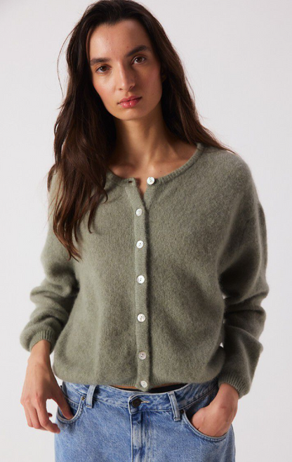 Cardigan Vitow | lichtgroen